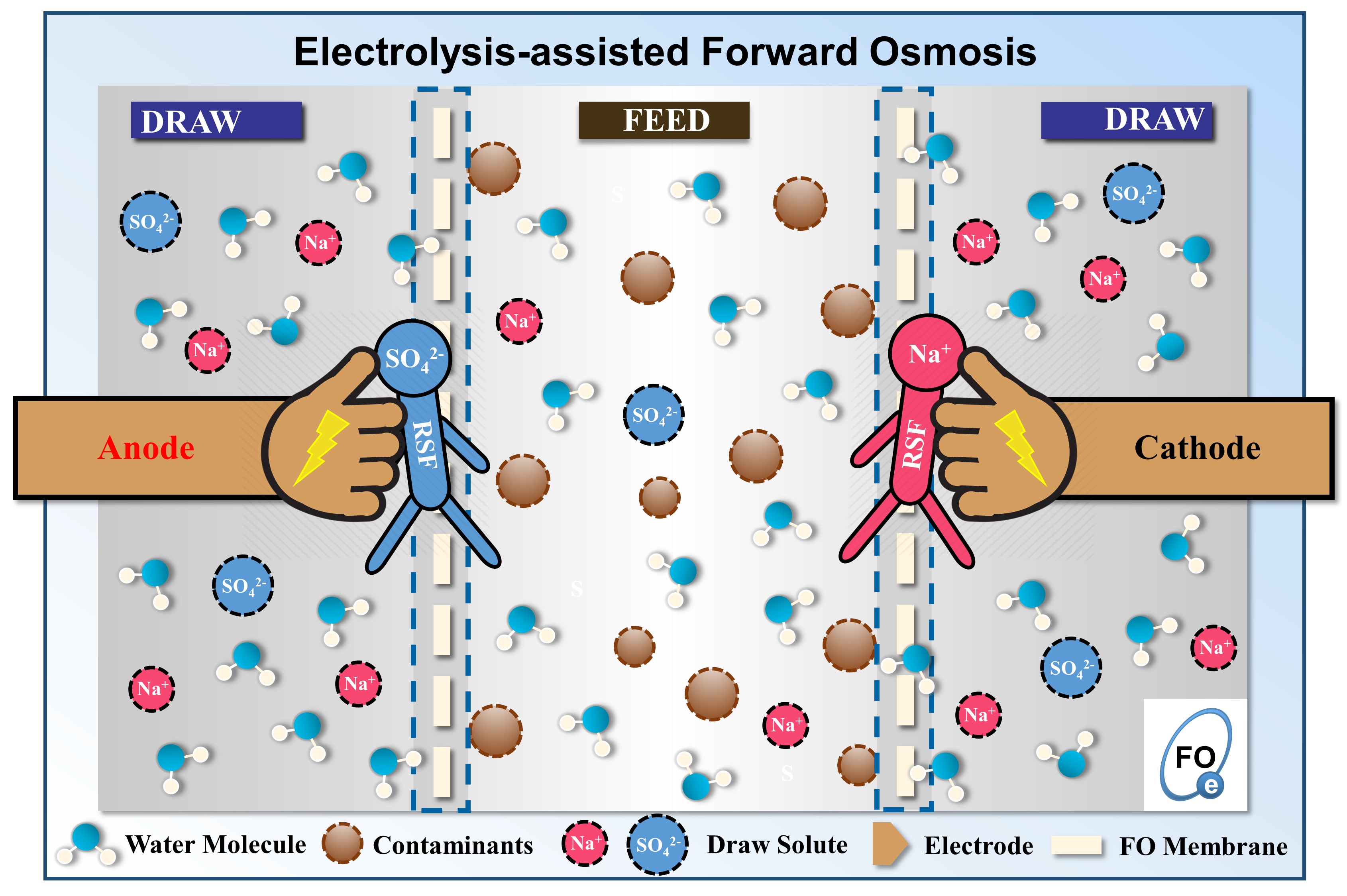 Graphical Abstract 01.jpg
