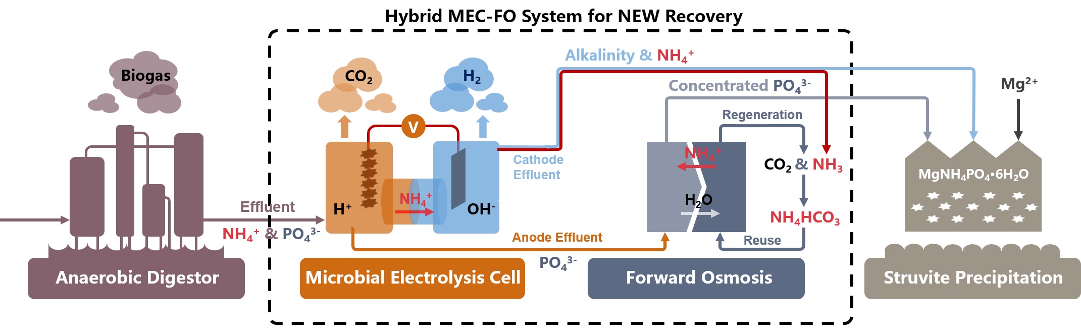 Graphical Abstract.jpg