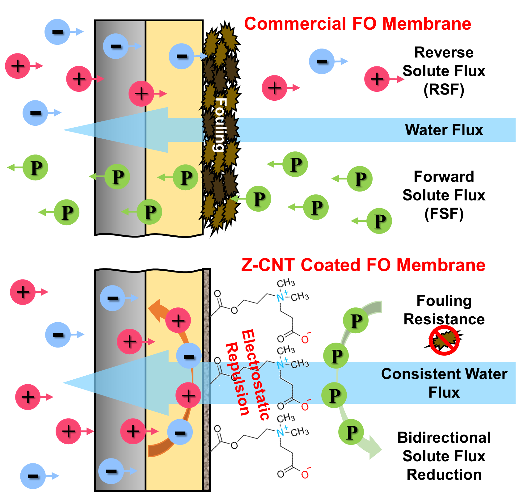 Graphical Abstract Coating.png